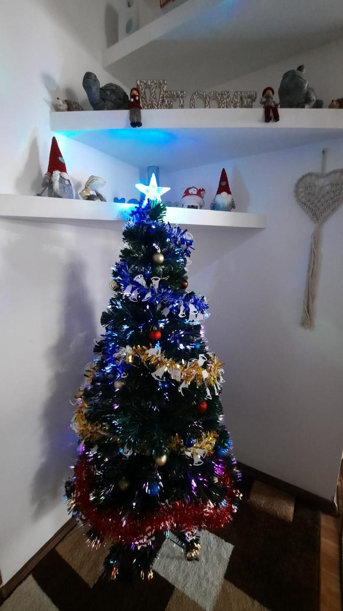 Petroşani Bubu Apartament מראה חיצוני תמונה